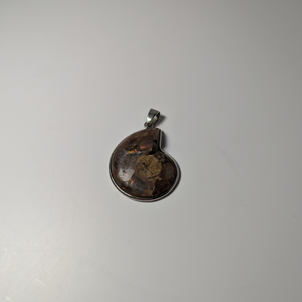 Fossil Shell Pendant